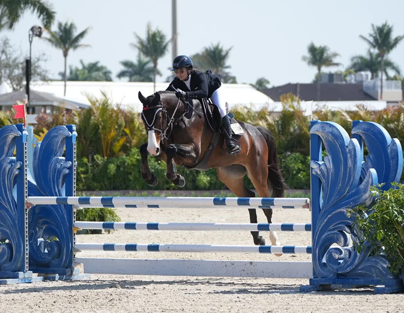Riding Horse