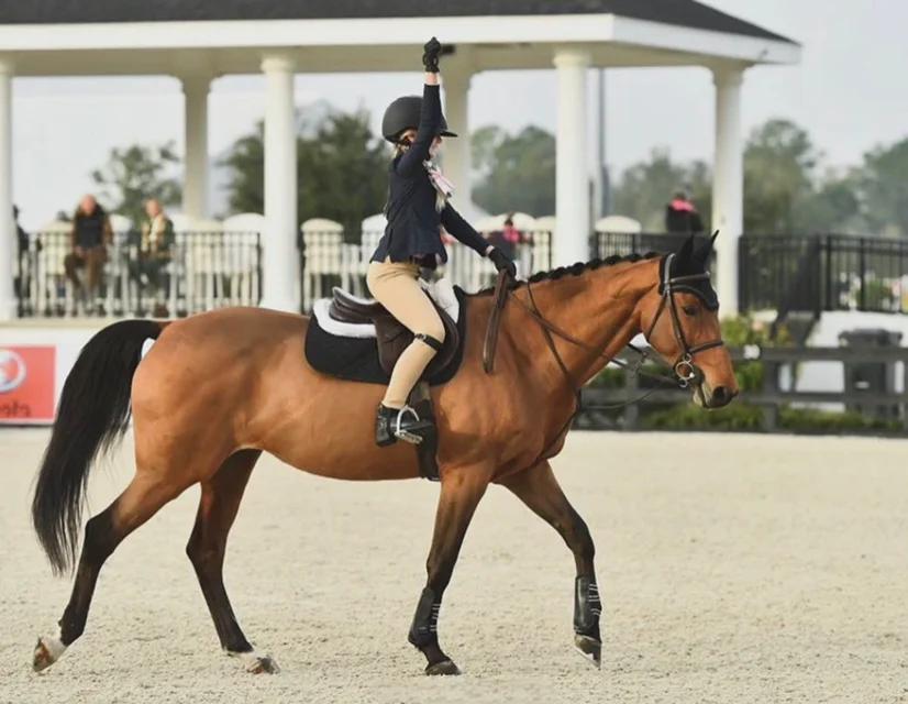 Horse Shows